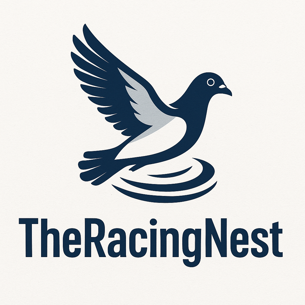 The Racing Nest hero